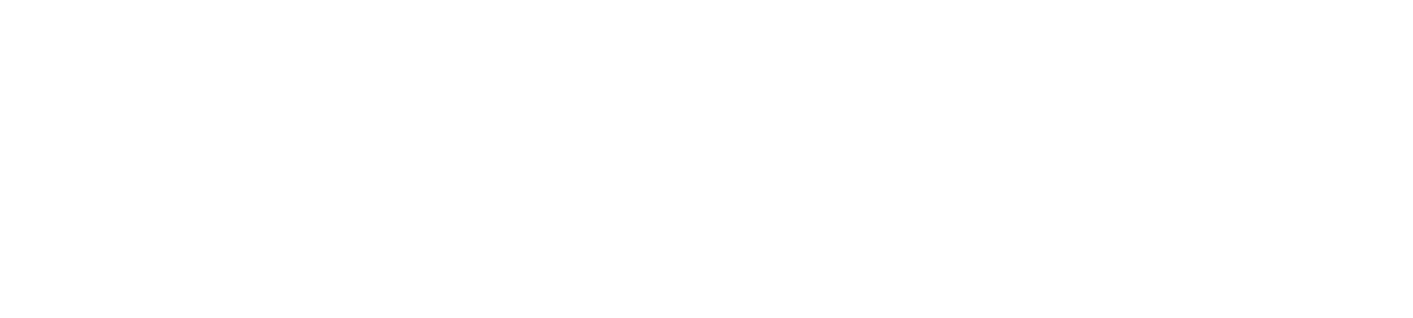 The New Legends of Monkey