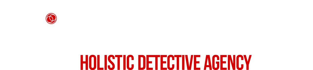 Dirk Gently's Holistic Detective Agency