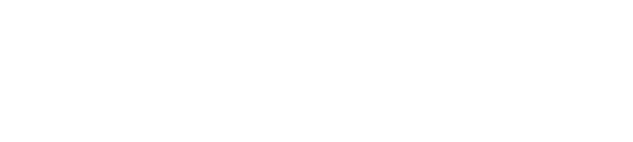 Gilmore Girls: A Year in the Life