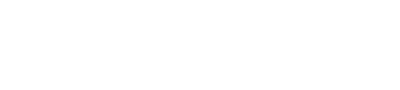 Crime Diaries: The Candidate