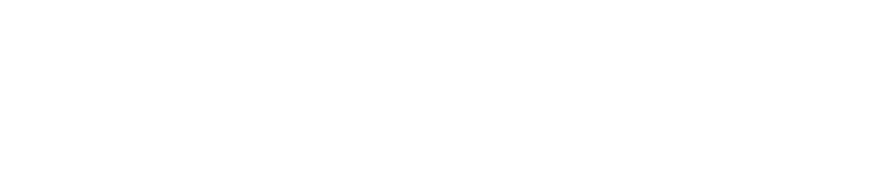 The Ballad of Buster Scruggs: A Netflix Original