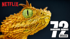 72 Dangerous Animals: Latin America
