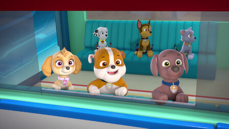 Watch Pups Save a Robosaurus / Pups Save a Film Festival. Episode 14 of Season 3.