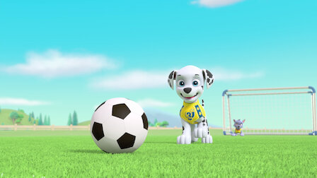 Watch Pups Save the Soccer Game / Pups Save a Lucky Collar. Episode 3 of Season 3.