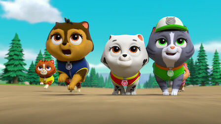 Watch Pups Save the Runaway Turtles /  Pups Save the Shivering Sheep. Episode 21 of Season 4.