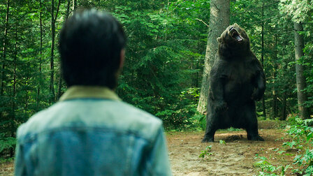 Ver Faz hoje 12 meses. Episódio 5 da Temporada 1.