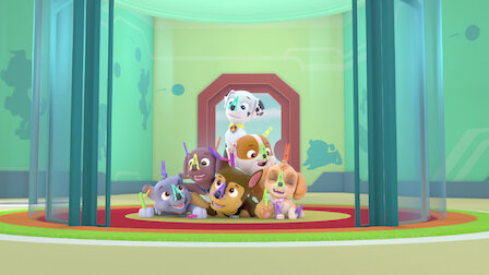 Watch Pups Save a Stinky Flower / Pups Save a Monkey-Naut. Episode 10 of Season 3.