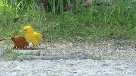 Watch Riding, Bottle Trap, Pause Ⅰ, Pause Ⅱ. Episode 12 of Season 2.