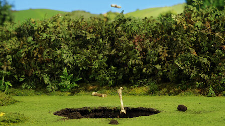 Watch Fossils/The Skateboard. Episode 7 of Season 1.