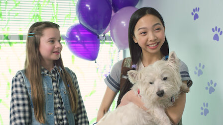 Watch Pet Adoption Day. Episode 5 of Season 2.