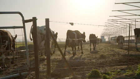 Watch Milk Money. Episode 5 of Season 1.