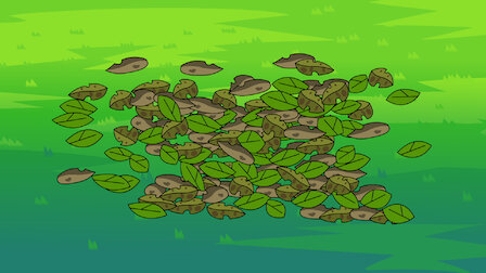 Watch Genie in the Lamp / Saving Private Carrot / Way of the Superhero. Episode 14 of Season 1.