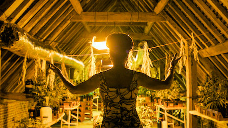 Ver A plantação de erva. Episódio 3 da Temporada 5.