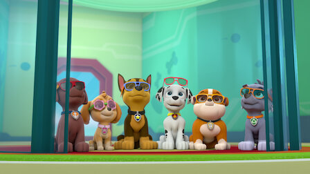 Watch Pups Save the Flying Food / Pups Save a Ferris Wheel. Episode 8 of Season 4.