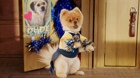 Watch My Uncle Is Dude. Episode 5 of Season 1.