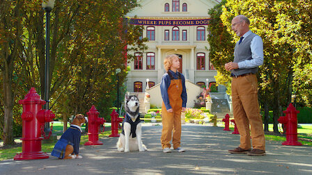 Watch The Thing with King. Episode 12 of Season 1.