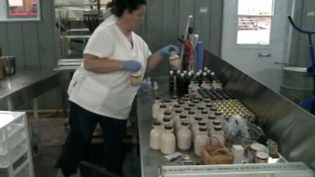 Ver O furto do xarope de ácer. Episódio 5 da Temporada 1.