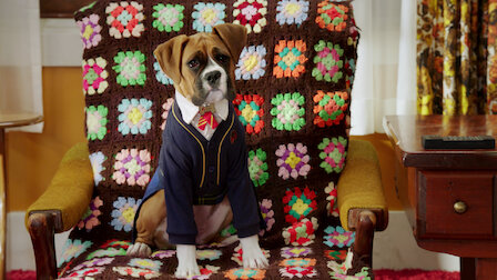 Watch Tell Us About Your Human Day. Episode 2 of Season 1.