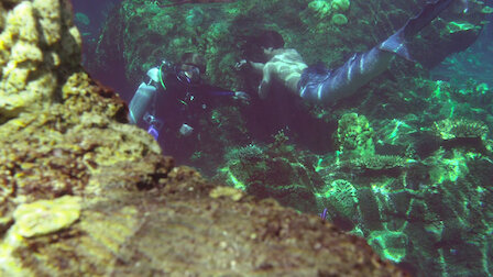 Watch Zac's Choice. Episode 23 of Season 1.