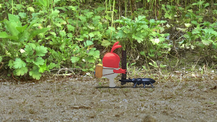 Watch Okki & Freiends, Duel, Ninja, Heat. Episode 3 of Season 2.